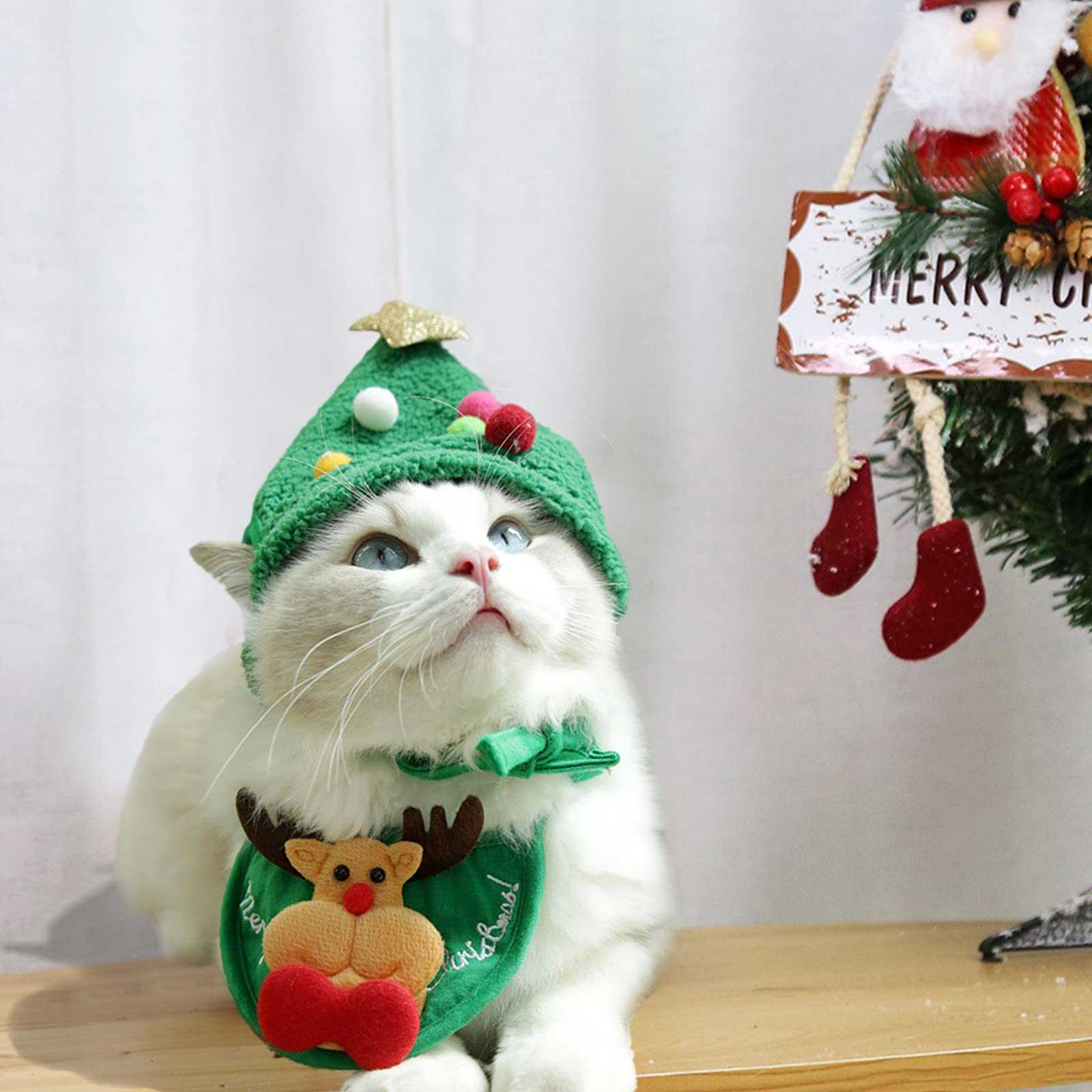 xmas collection - หมวก ผ้าพันคอ คริสต์มาส
