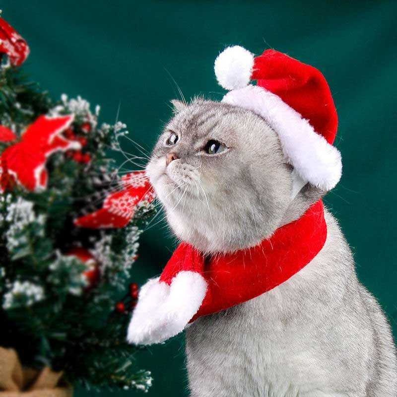 xmas collection - เซ็ทหมวก ผ้าพันคอ ซานต้าแซนตี้