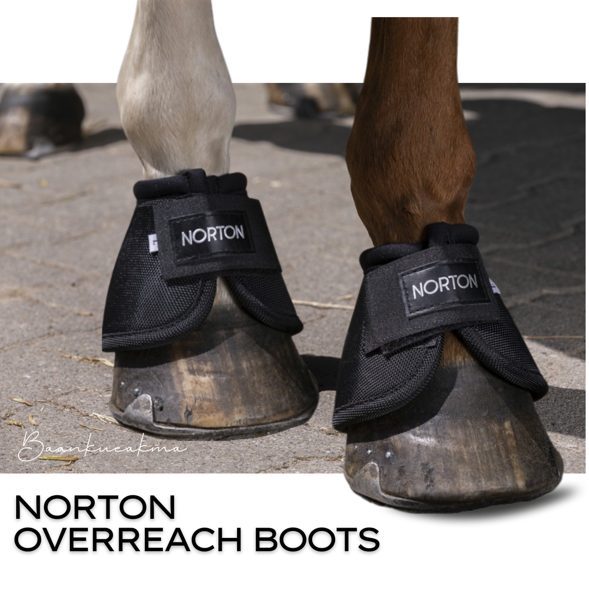 บู๊ทป้องกันกีบม้า - NORTON BELL BOOTS