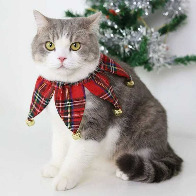 xmas collection - ปลอกคอเอลฟ์