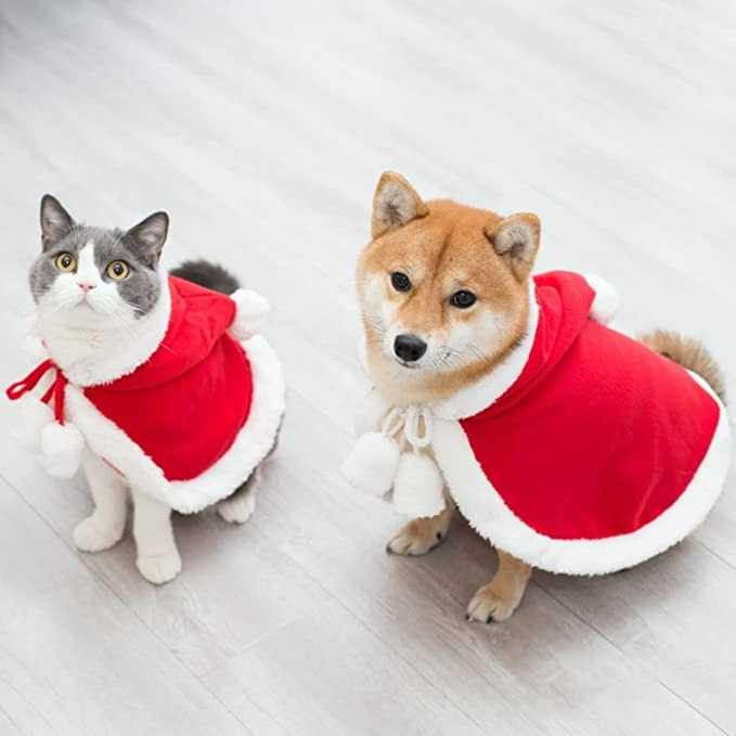 xmas collection - ฮู้ดดี้ ซานต้า แซนตี้ คริสต์มาส