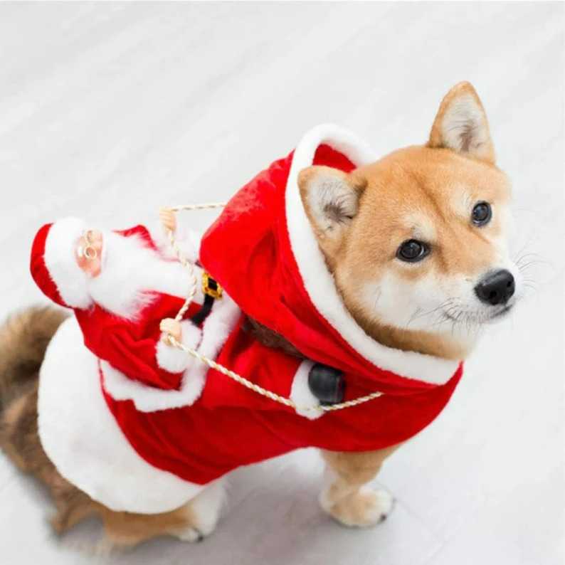 xmas collection - คอสตูมพาซานต้าคอสไปส่งของขวัญ
