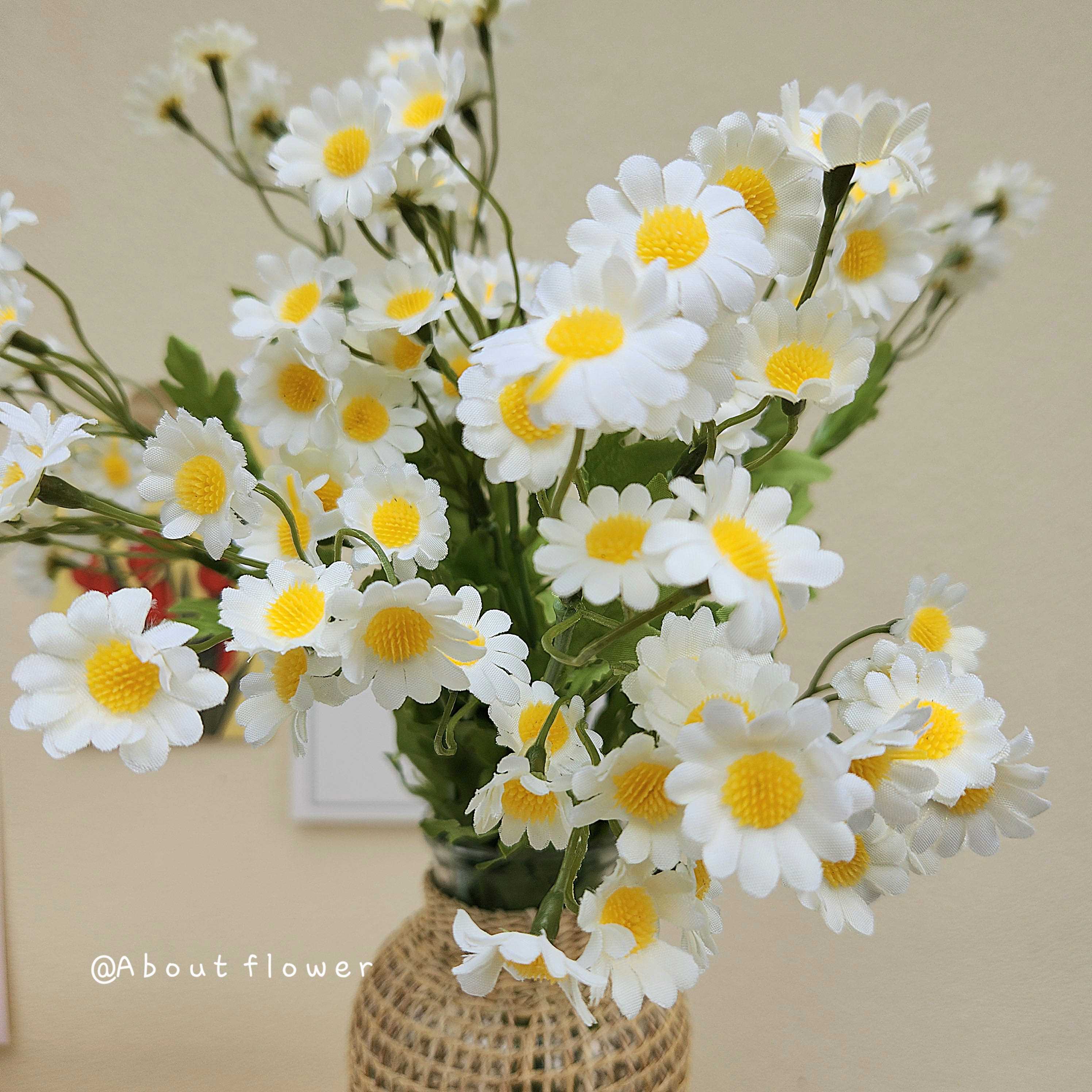 ดอกเดซี่ 🌼 ดอกไม้ตกแต่งบ้าน