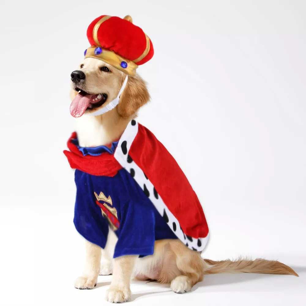 Funny Costume Collection - ราชาหมา