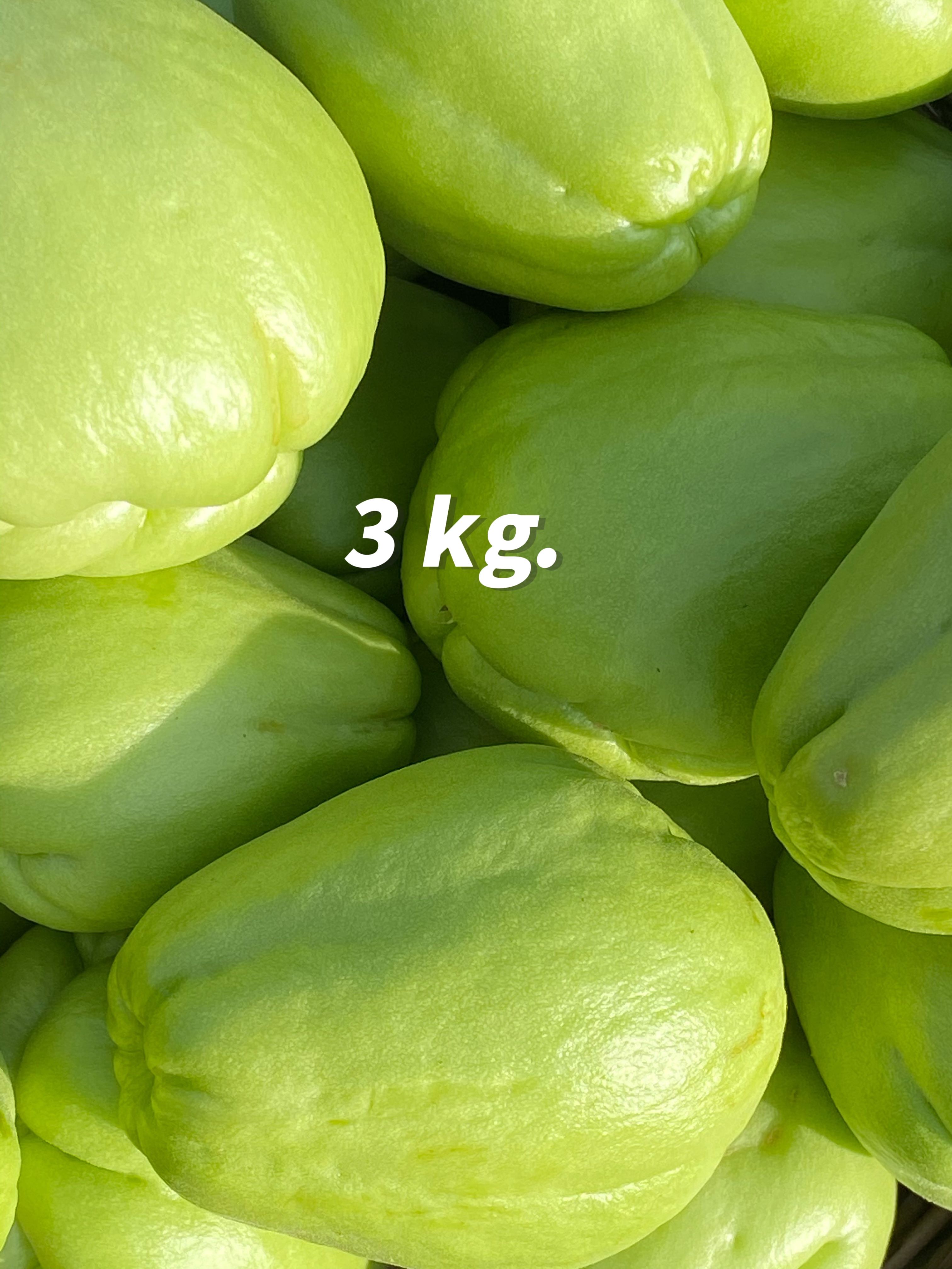 มะระหวานรูปทรงกลม 3 Kg. 