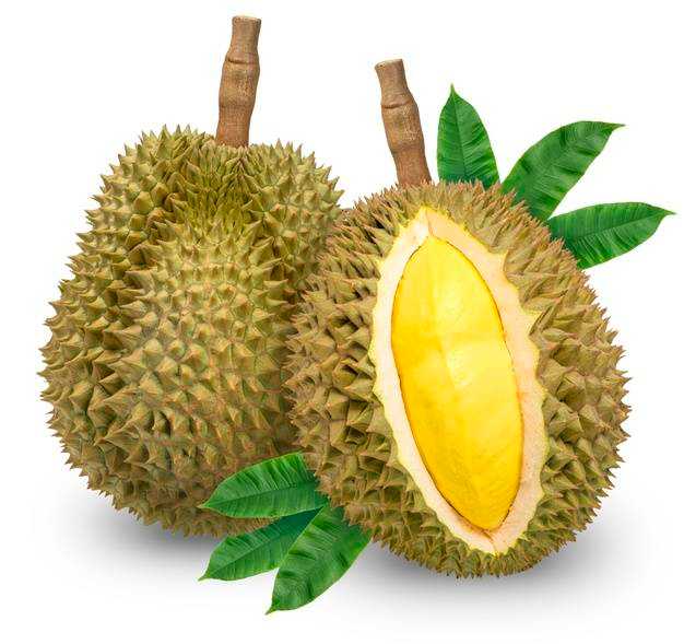 ทุเรียนแกะเนื้อเกรดพรีเมี่ยมส่งนอกครึ่งกิโล