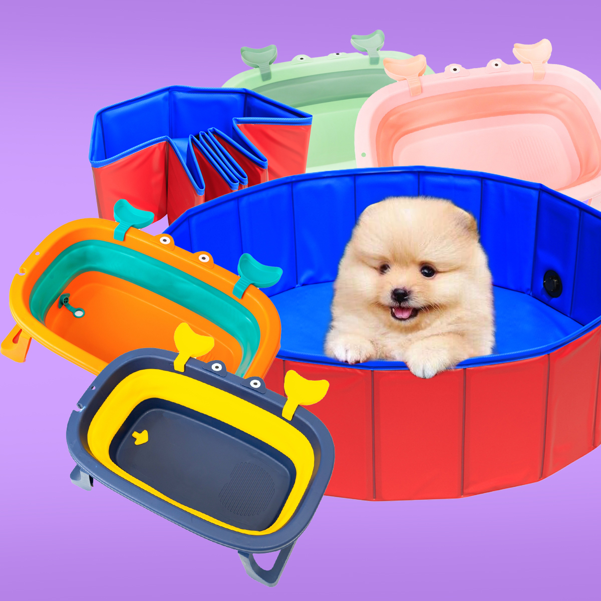 An Image