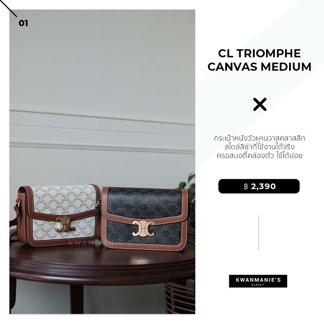 CL Triomphe Canvas Medium