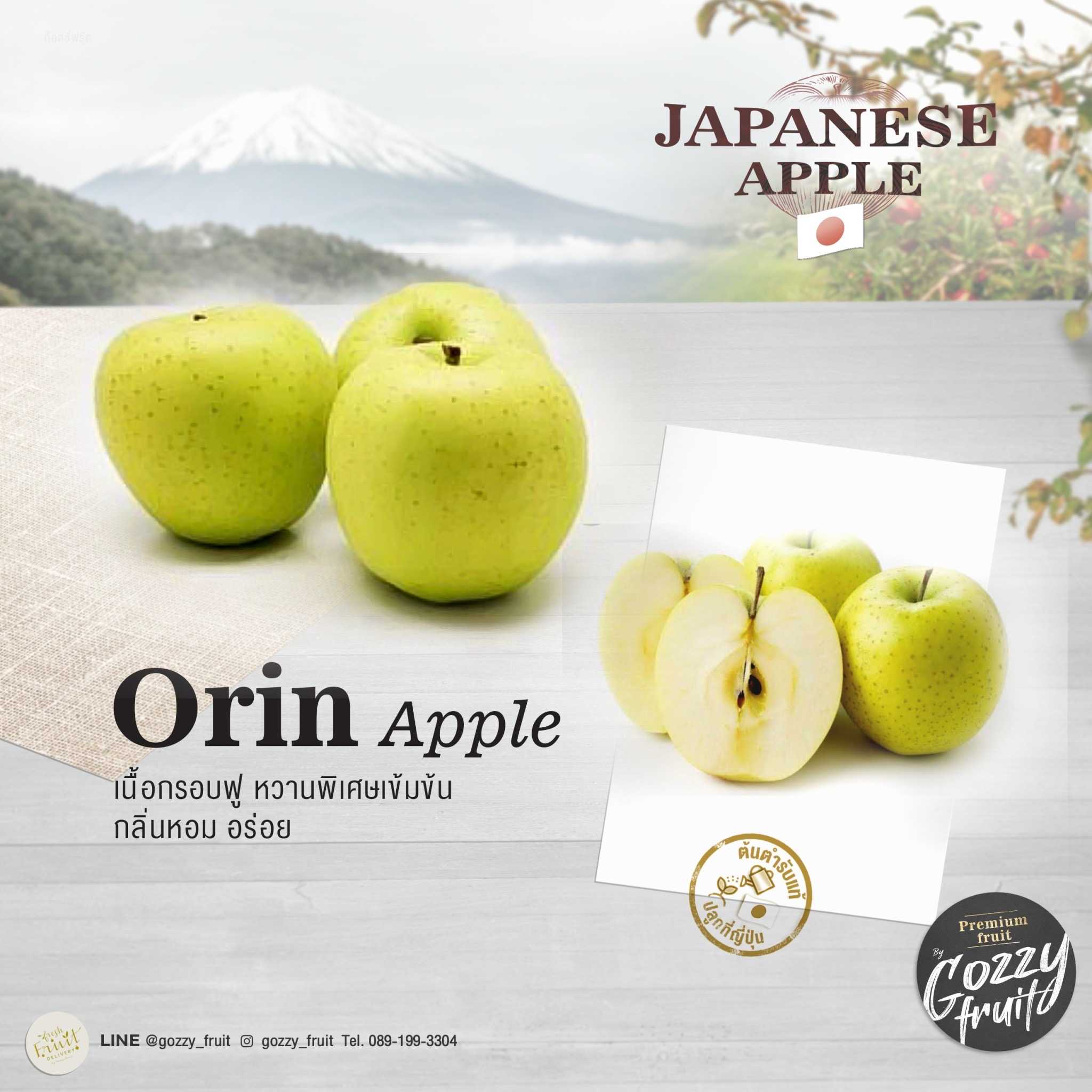 แอปเปิ้ลญี่ปุ่น Orin จัมโบ้