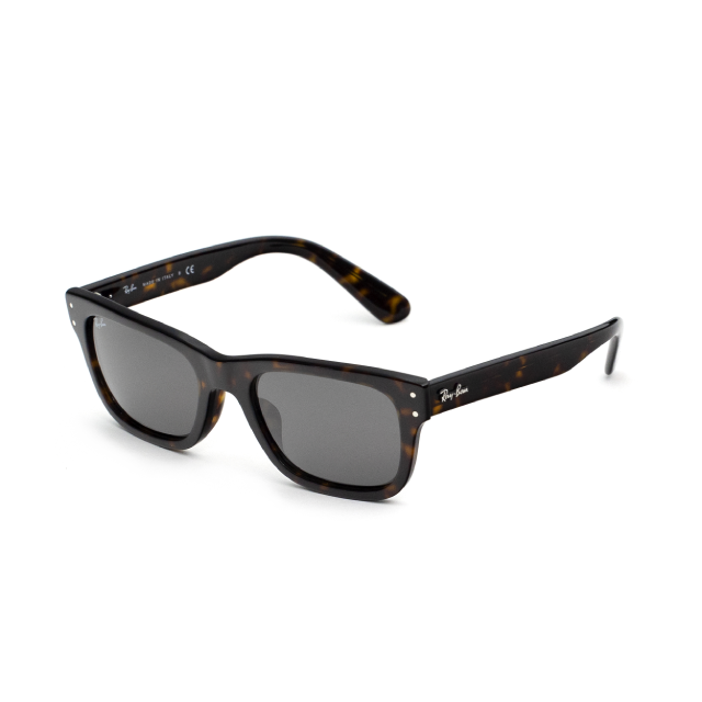Ray-Ban RB2283F 902/B1 SIZE 55 MM.