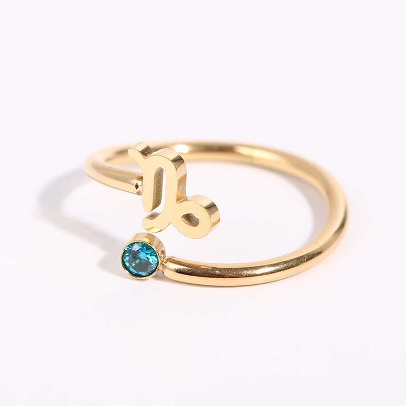 Capricorn ราศีมังกร (14 ม.ค. - 12 ก.พ.)
