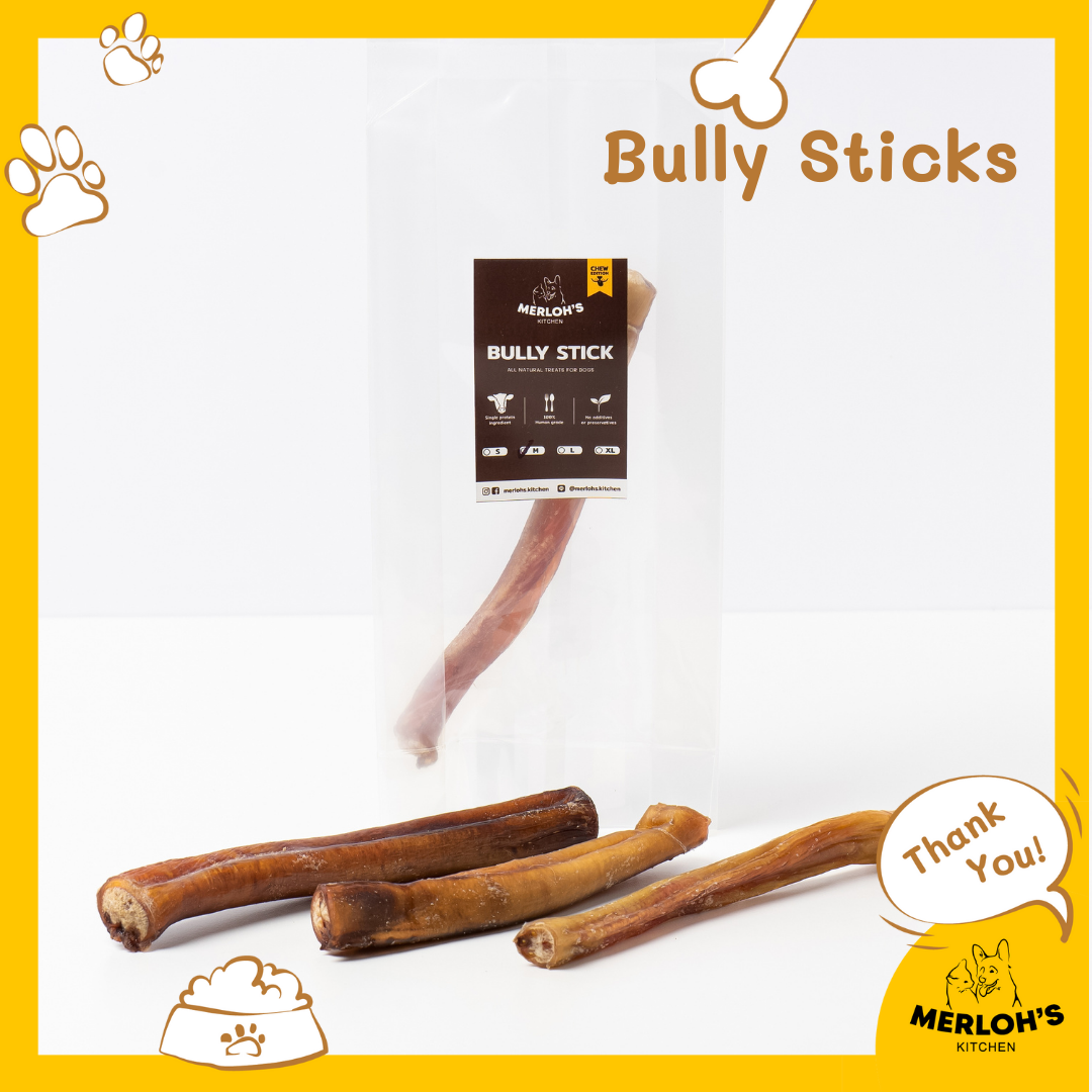 Bully Sticks ตัวเดียวอันเดียววัวอบแห้ง สำหรับสุนัข Merloh's Kitchen