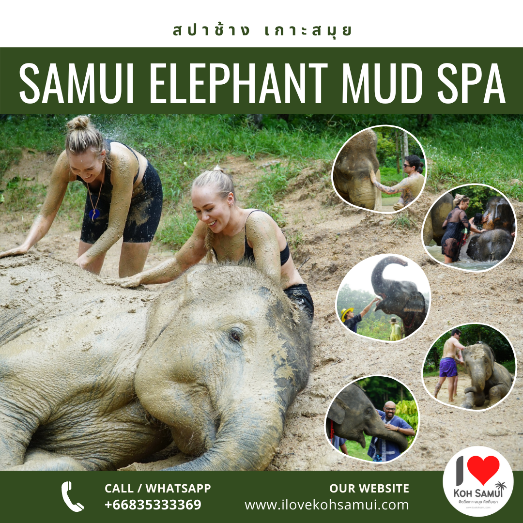 Elephant Mud Spa สปาช้าง