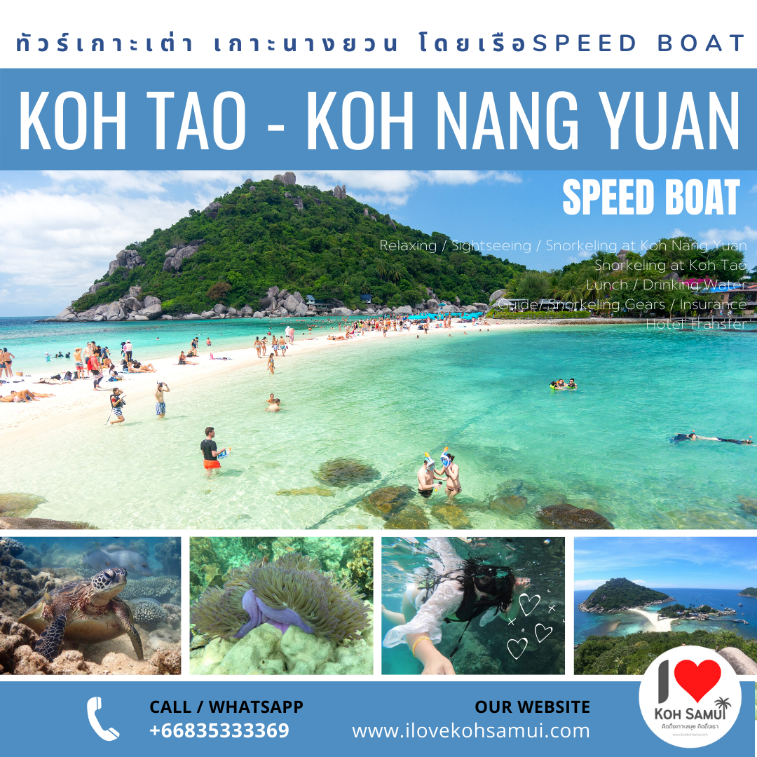 Snorkeling tour to Koh Tao and Koh Nangyuan by Speedboat - เกาะเต่า เกาะนางยวน สปีดโบ๊ทจากเกาะสมุย
