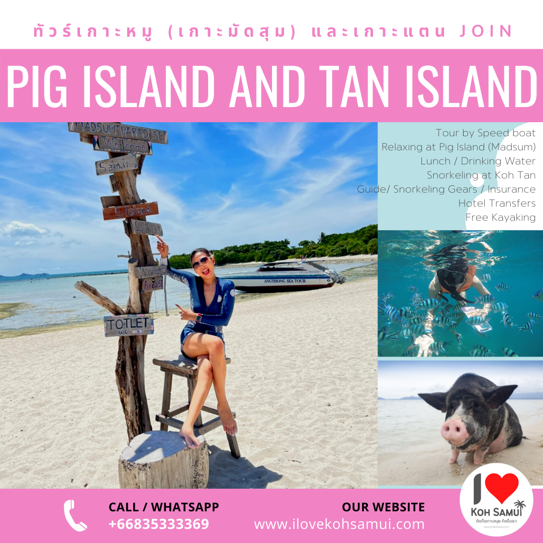 ทัวร์เกาะหมู (มัดสุม) เกาะแตน Speed boat จากสมุย (Pig Island and Tan Island tour by Speedboat)