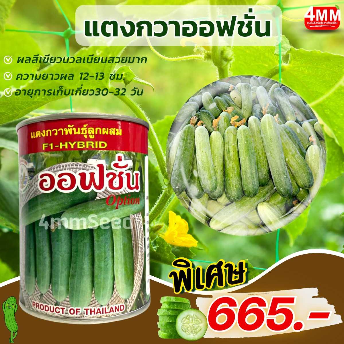 แตงกวาออฟชั่น  100 กรัม   #เมล็ดพันธุ์