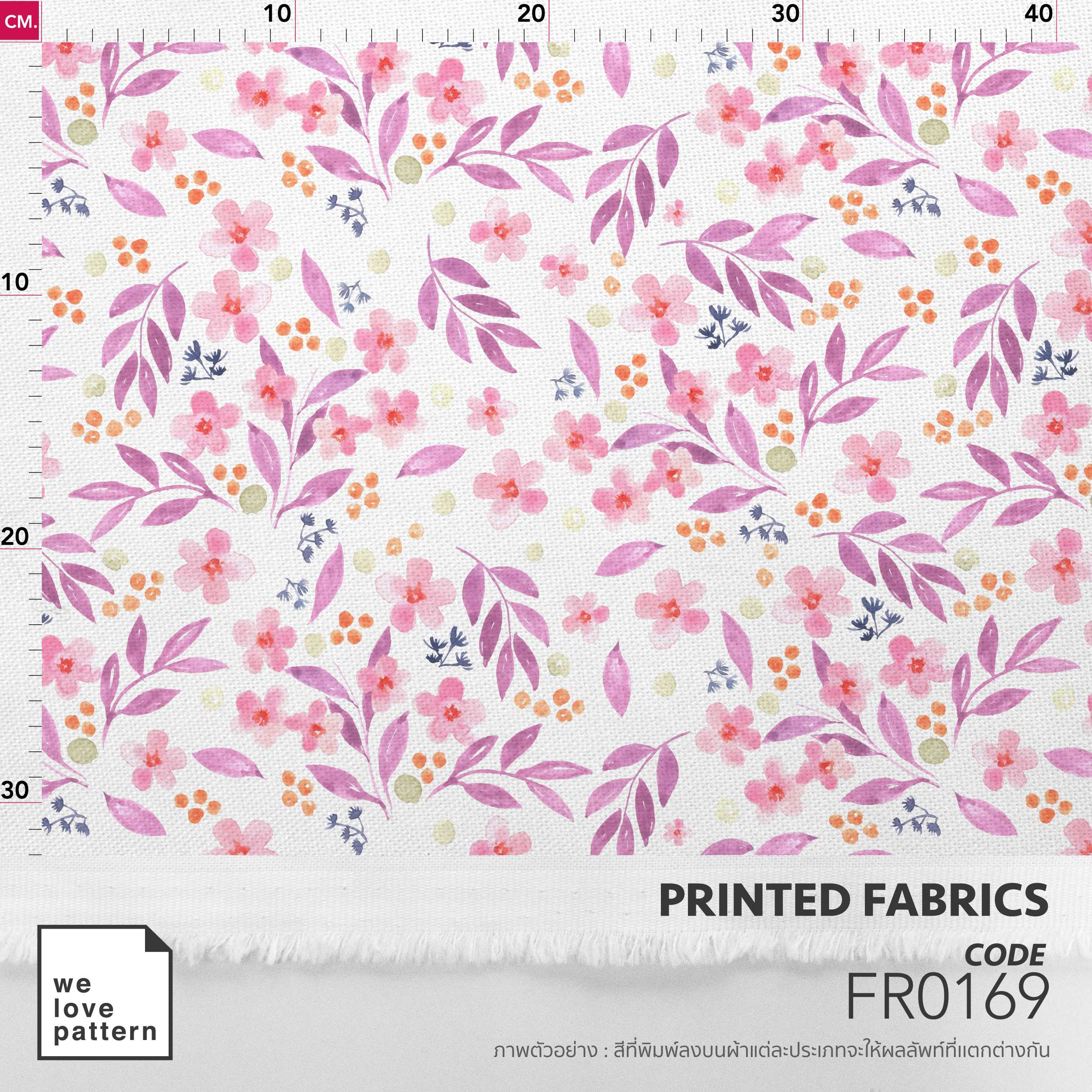 รหัสลาย : FR0169