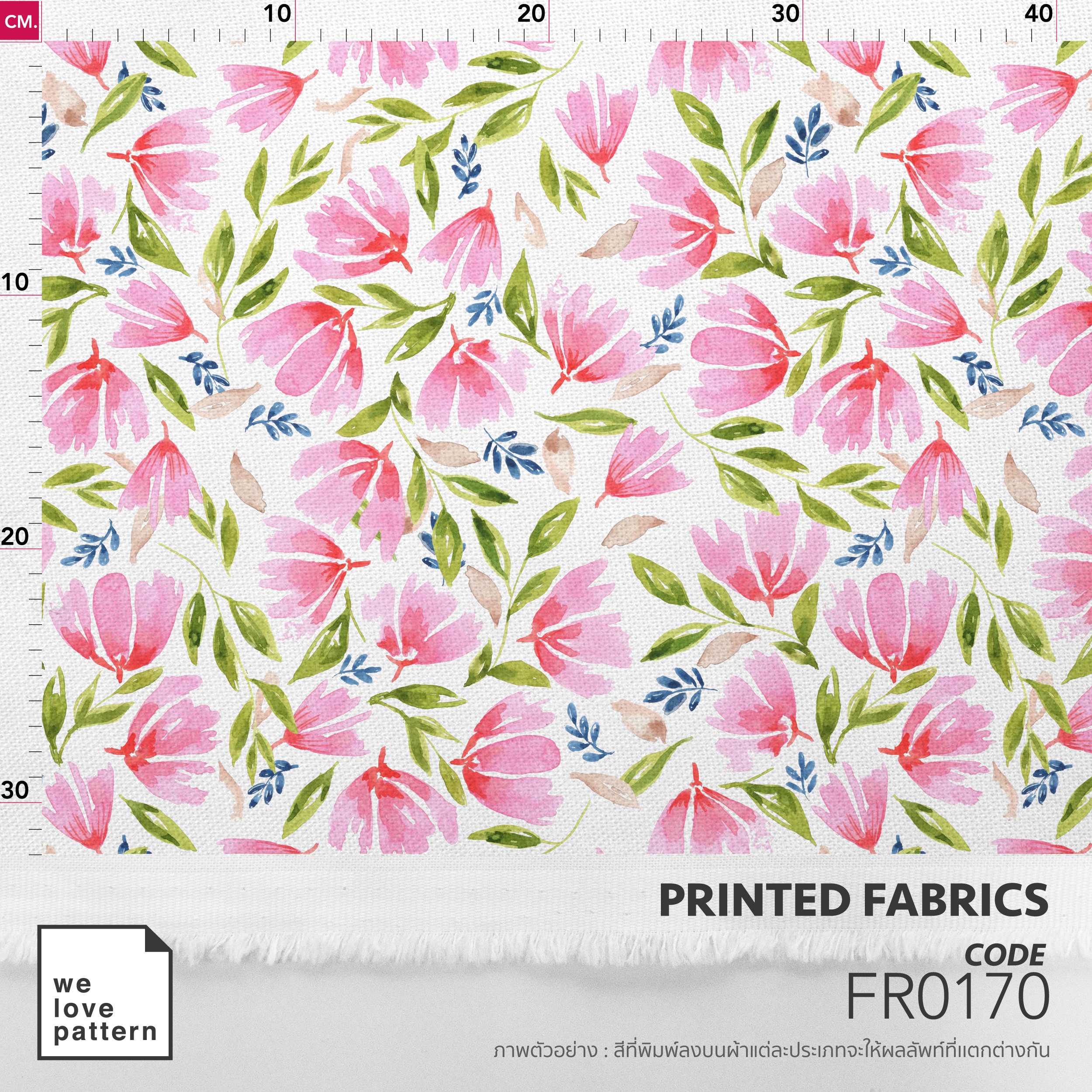 รหัสลาย : FR0170