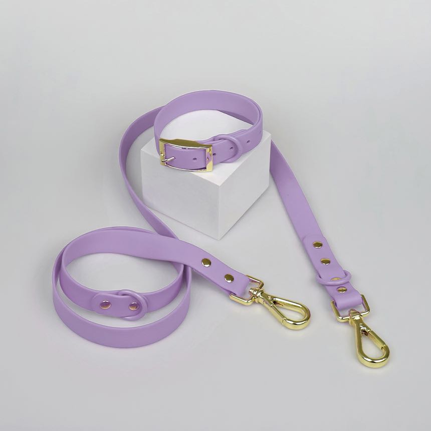 เซ็ทปลอกคอ พร้อมสายจูง S/M/L/XL สีม่วง / Pantone (​​ S/M/L/XL ) Stone Lavender