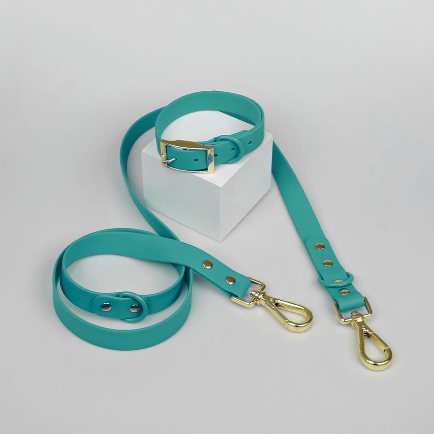 เซ็ทปลอกคอ พร้อมสายจูง S/M/L/XL สีเขียว / Pantone (​​ S/M/L/XL ) Stone Turquoise