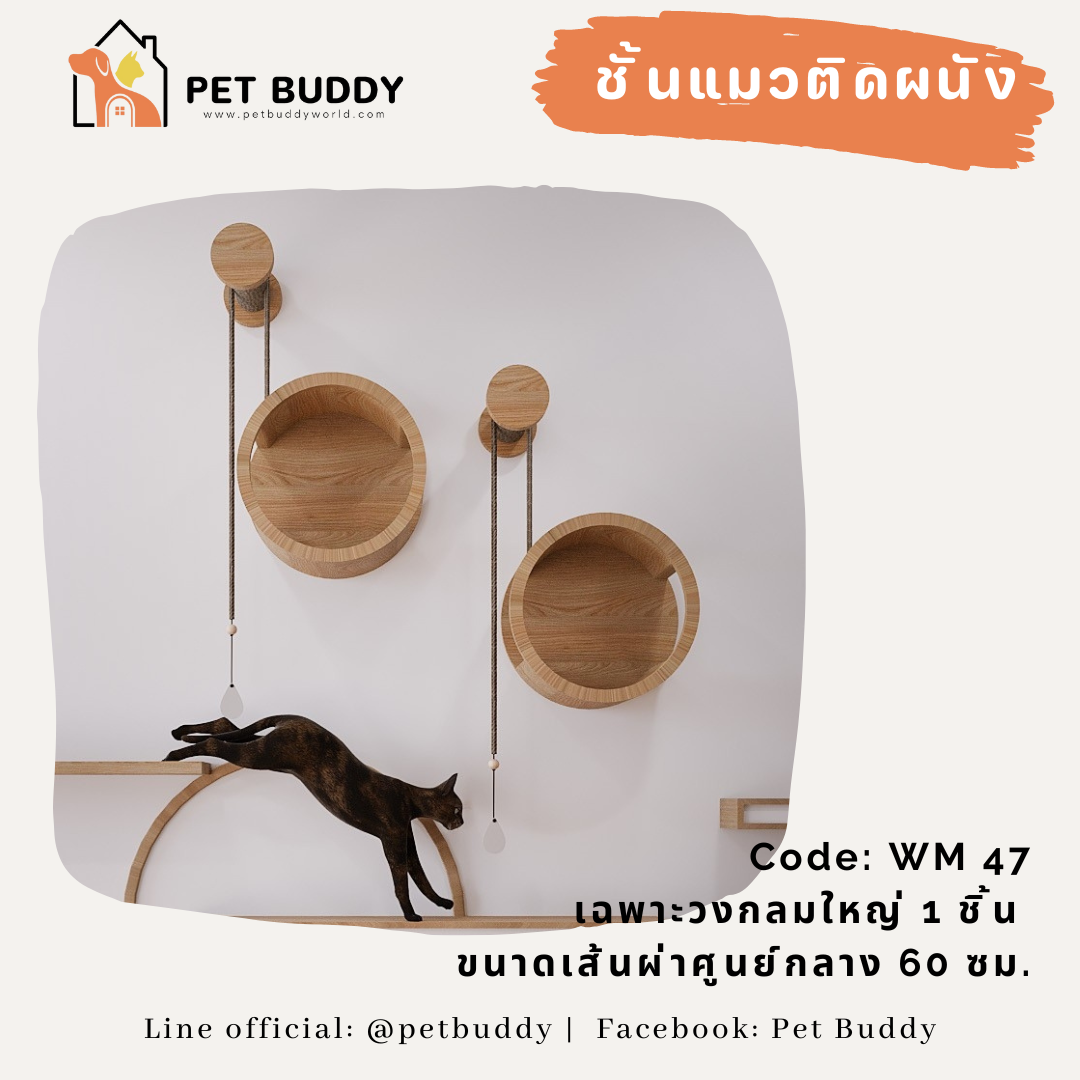 ชั้นแมวติดผนัง WM_47