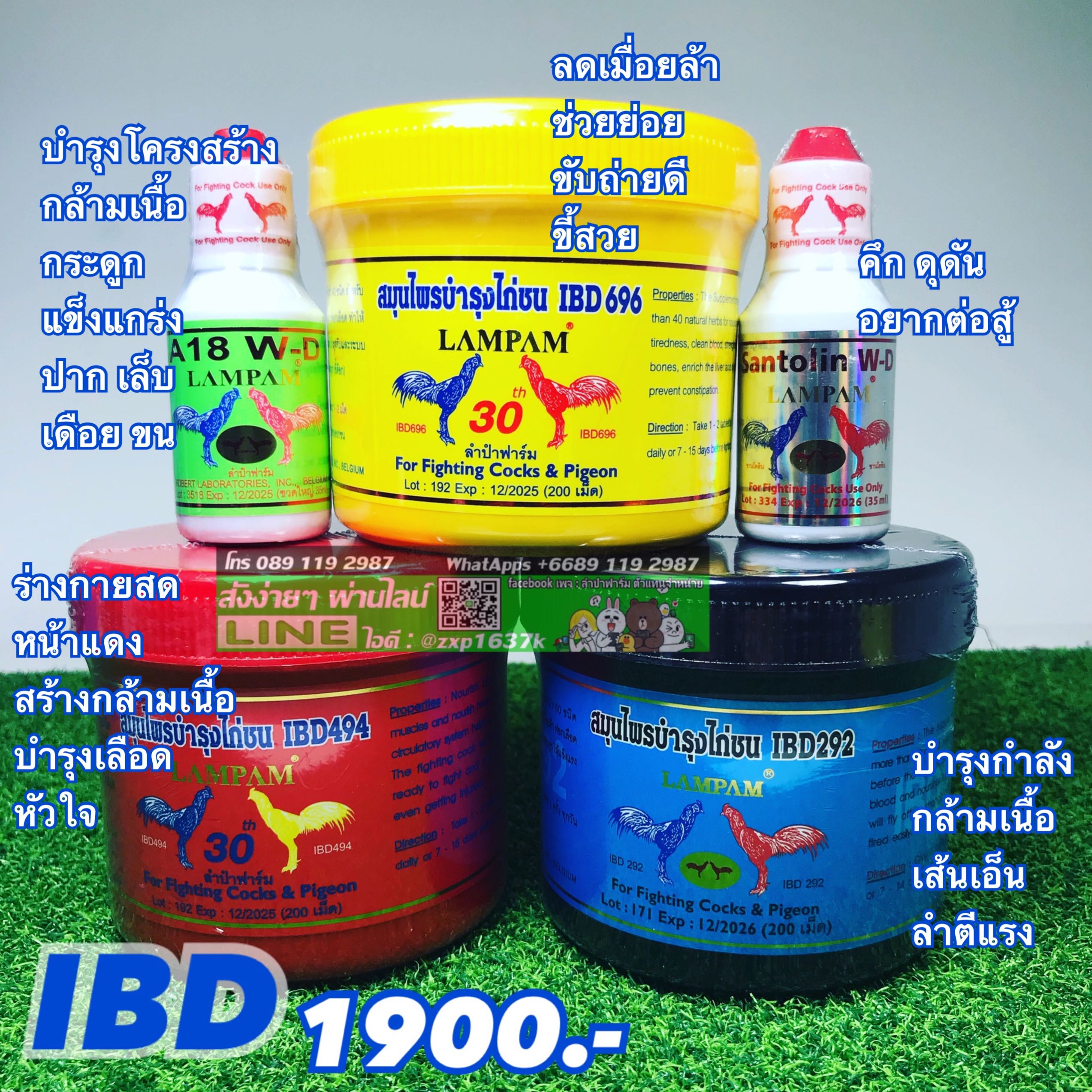 ชุดเลี้ยง IBD 1900