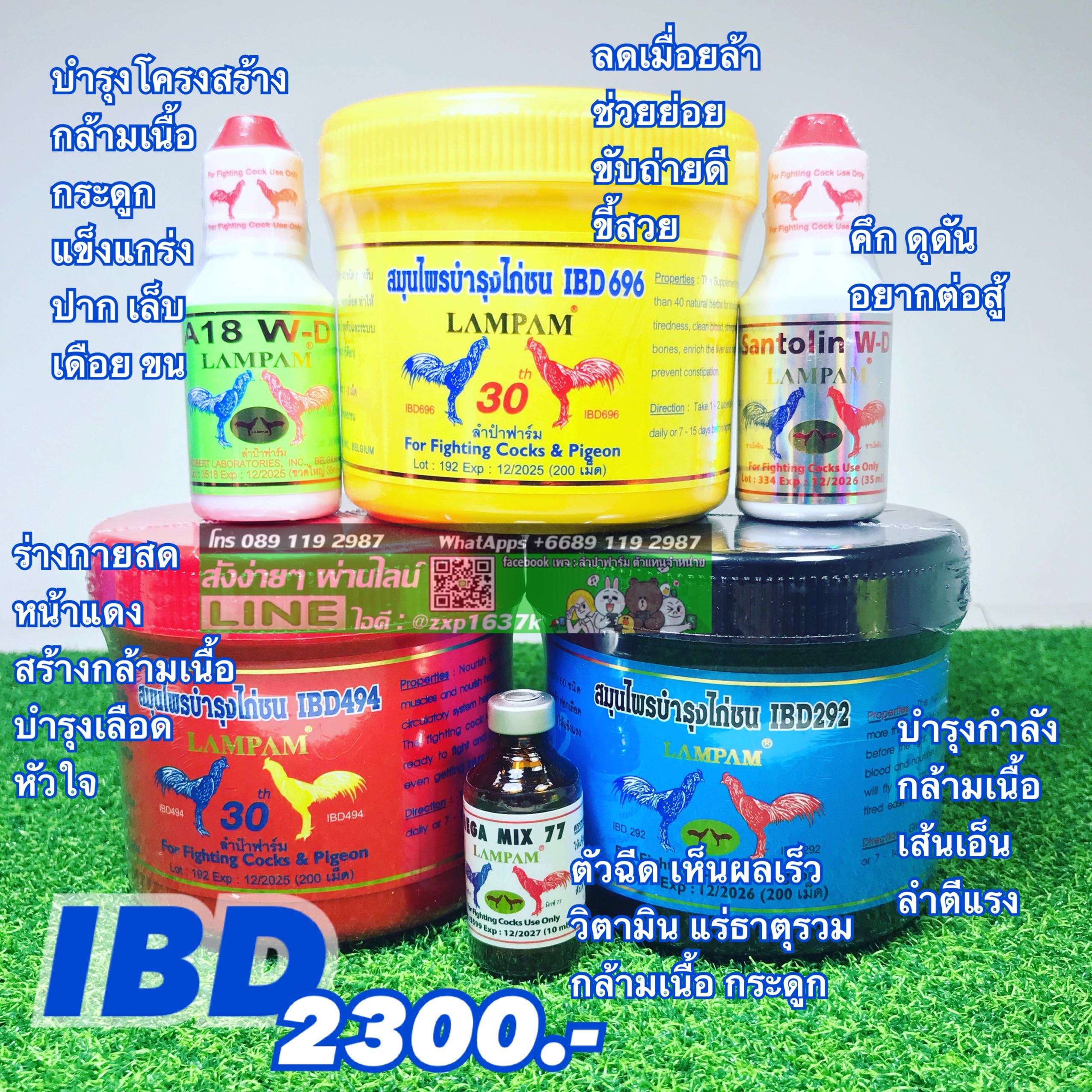ชุดเลี้ยง IBD 2300