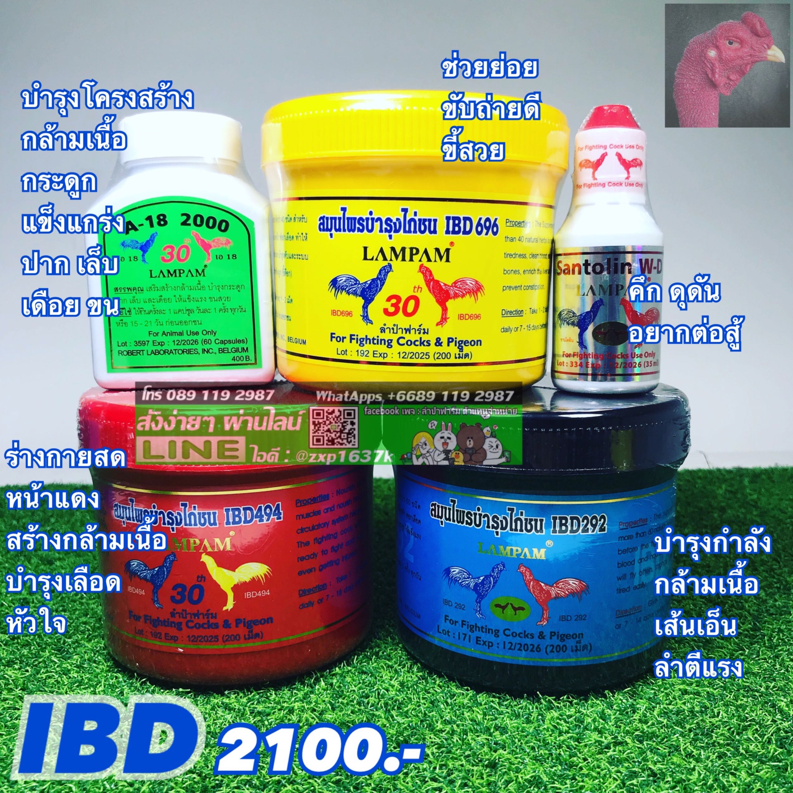 ชุดเลี้ยง IBD 2100