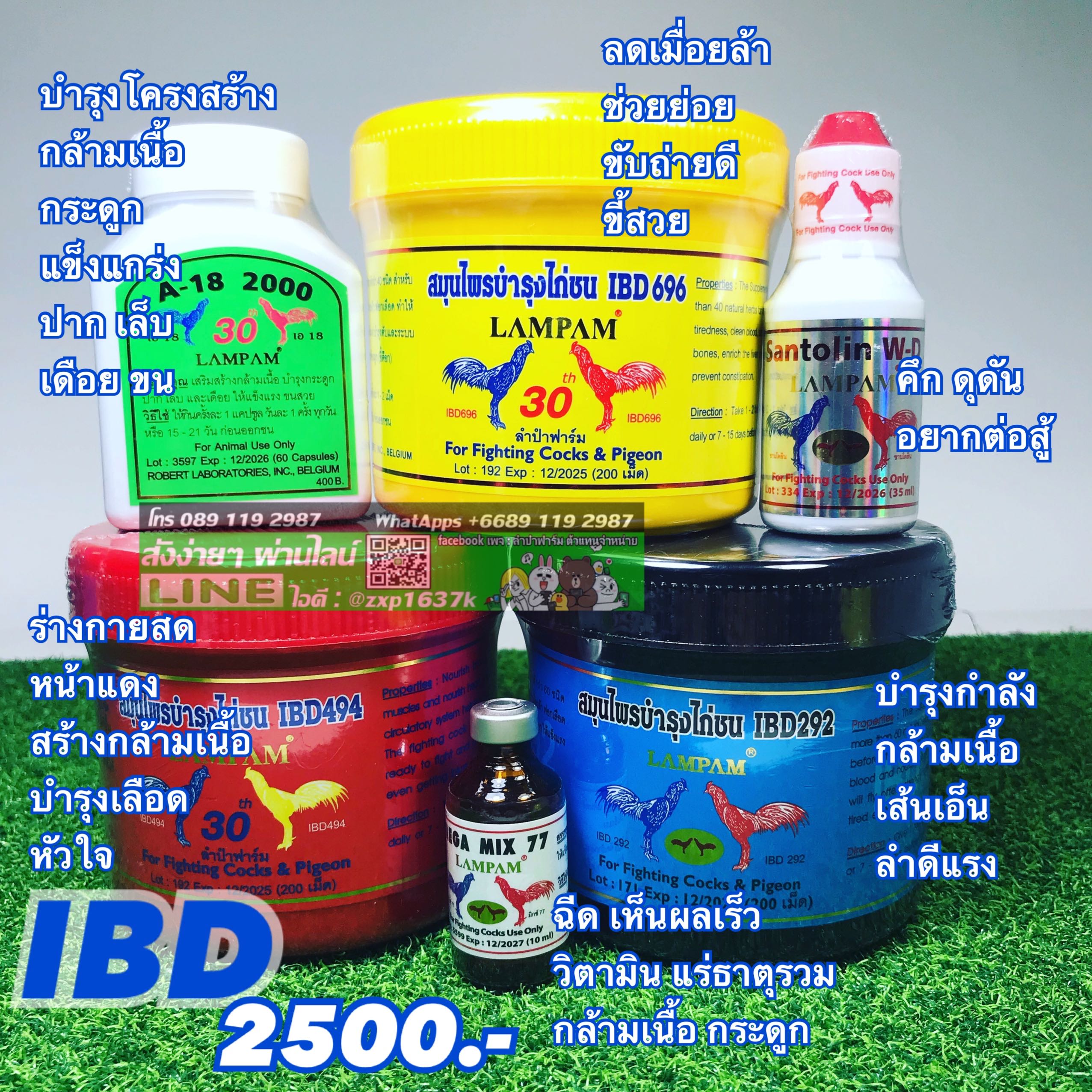ชุดเลี้ยง IBD 2500