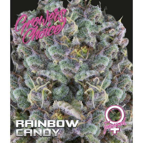 เมล็ด Rainbow Candy (โฟโต้)
