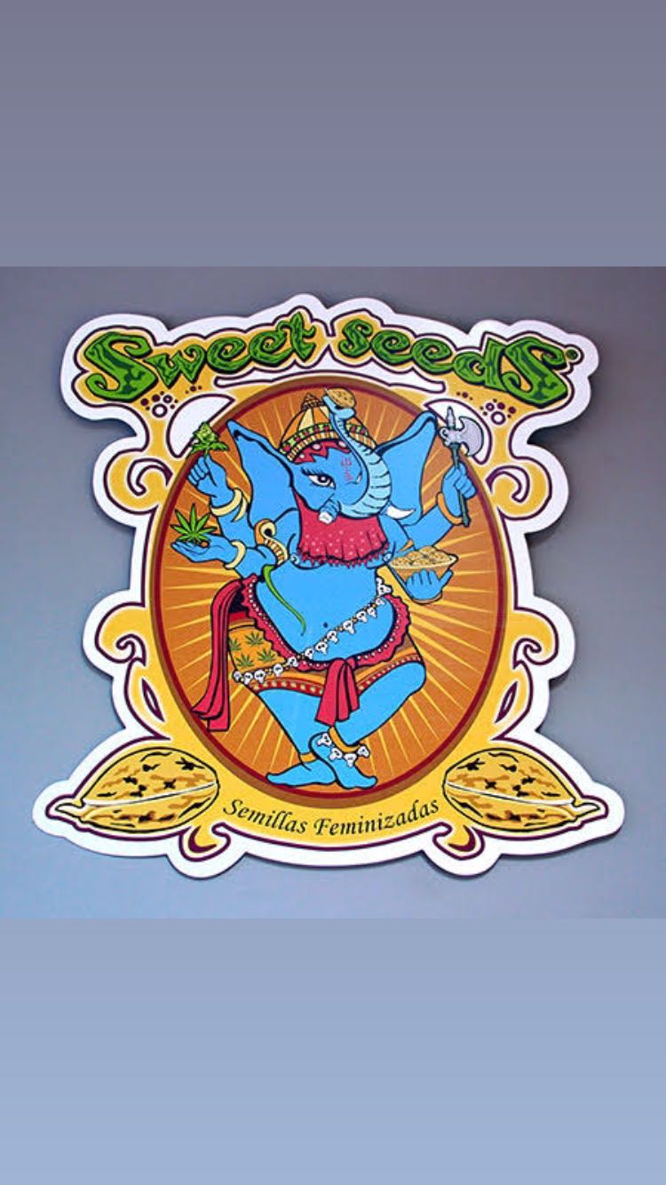 An Image