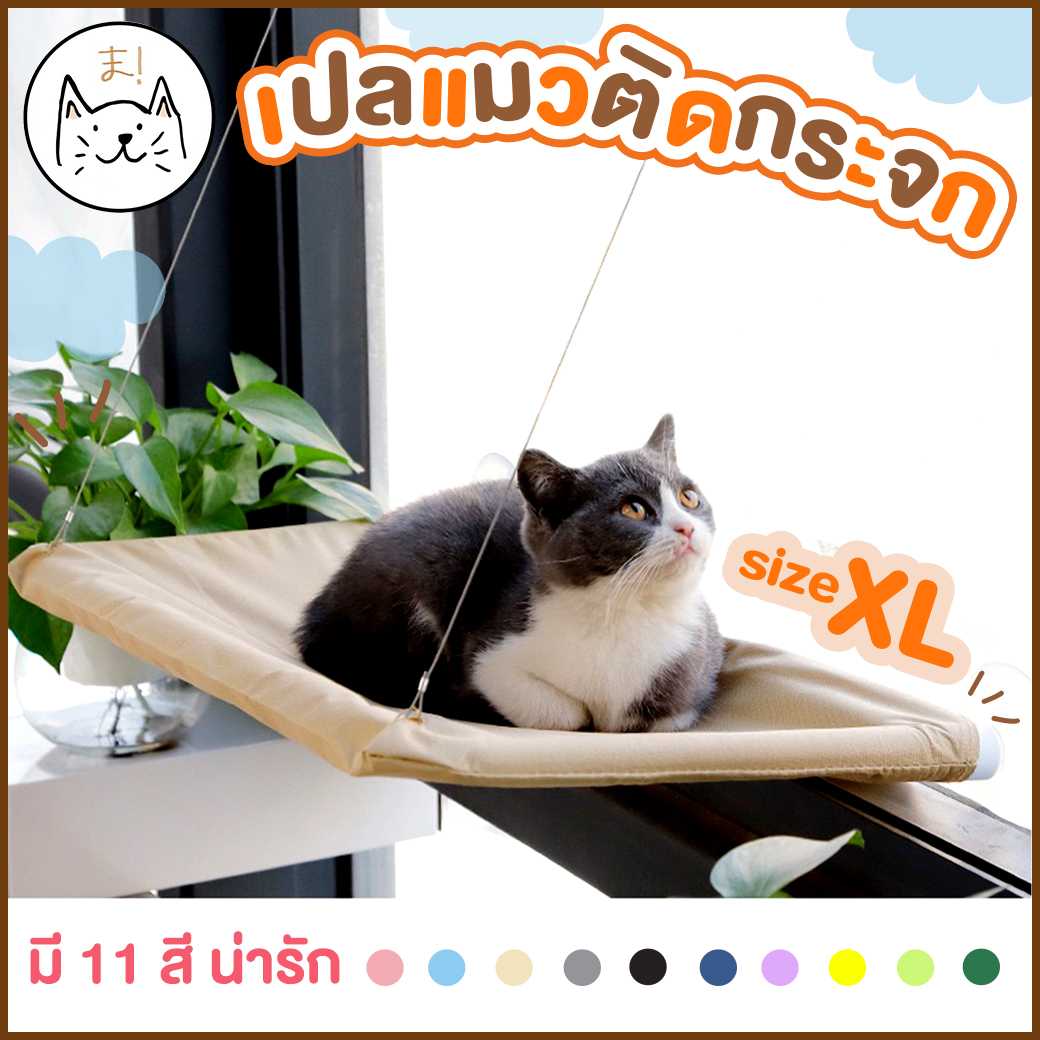 KUMA まเปลแมวติดกระจก XL รับน้ำหนักได้ถึง 20 kg