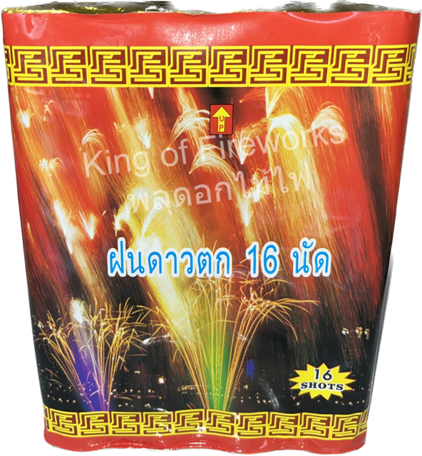 ฝนดาวตก 16 นัด