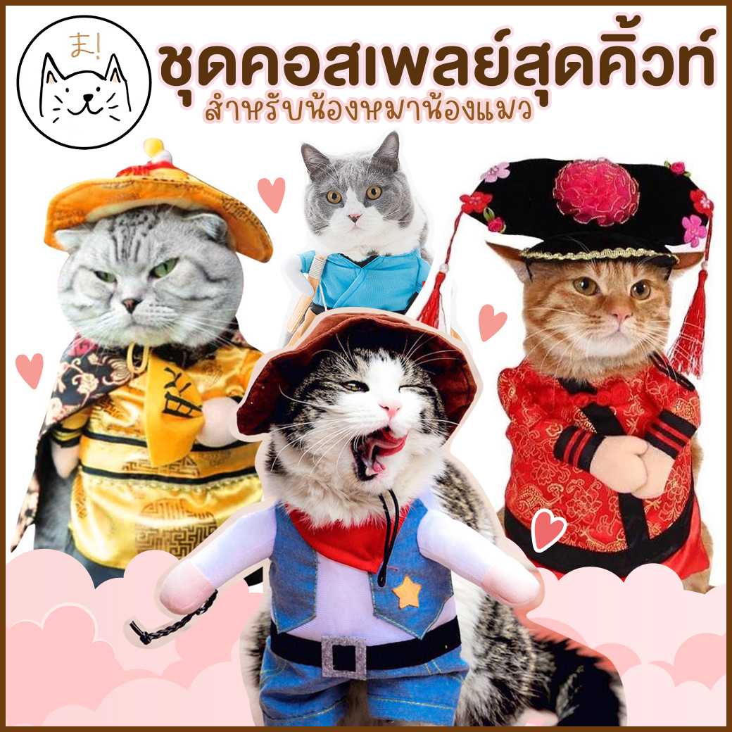 KUMAま ชุดแมว เสื้อแมว ชุดแมว คอสเพลย์