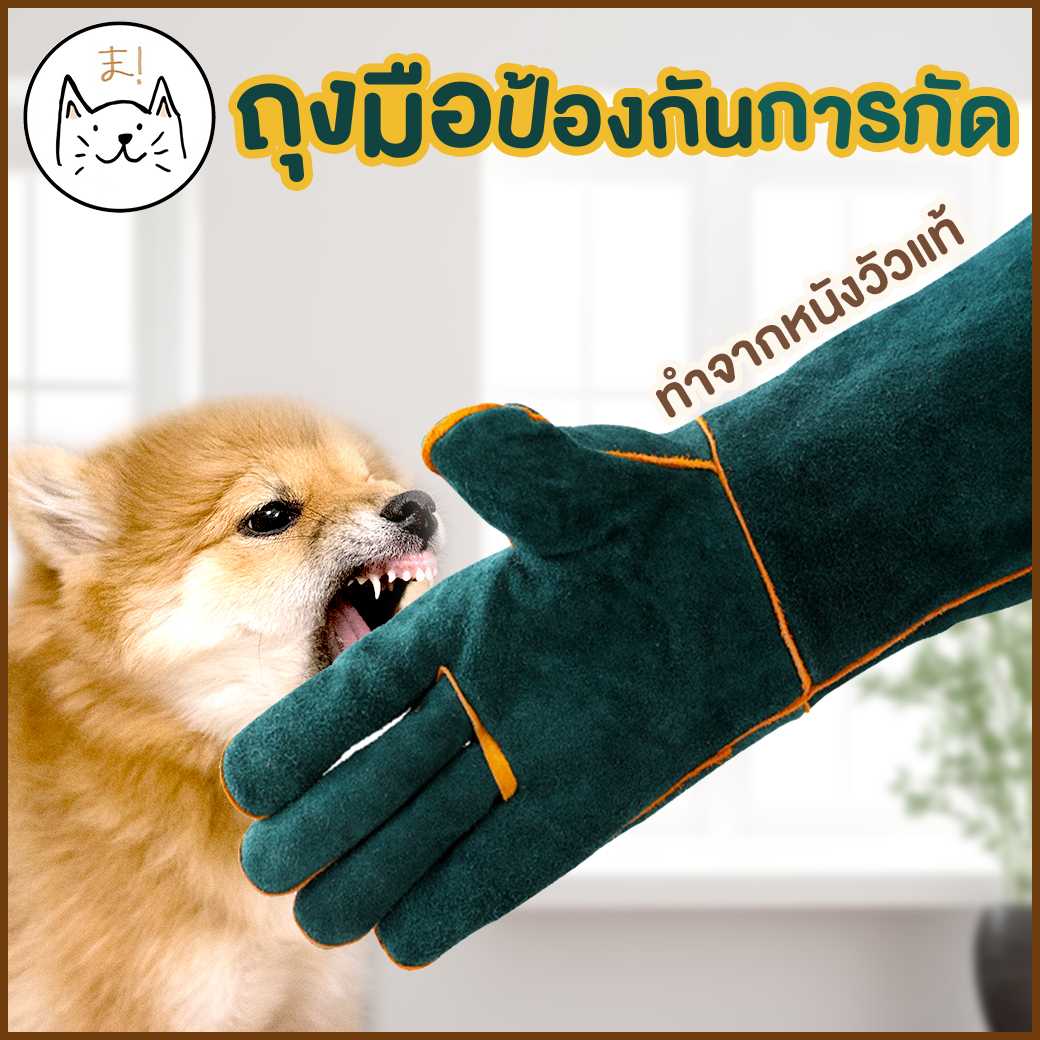 KUMA ま ถุงมือกันกัด ทำจากหนังวัวแท้ หนา3ชั้น