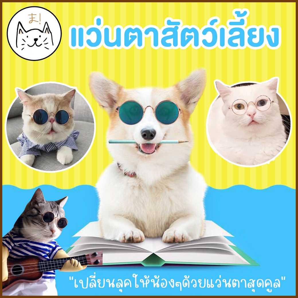 KUMAま แว่นตาสัตว์เลี้ยง แว่นแมว แว่นสุนัข