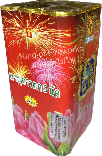 พายุดาวตก 9 นัด
