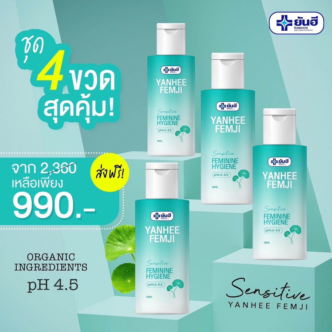 เฟมจิ4