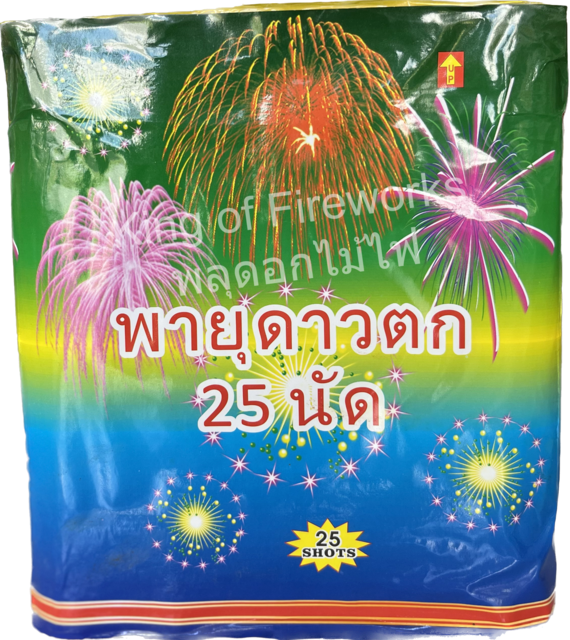 พายุดาวตก 25 นัด