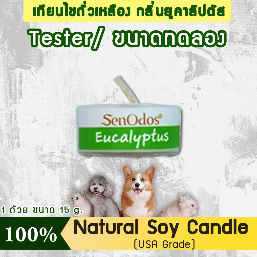 เทียนหอม อโรม่า (ขนาดทดลอง)  Tealight Eucalyptus  Soy Candle Aroma  15 g -  กลิ่นยูคาลิปตัสแท้