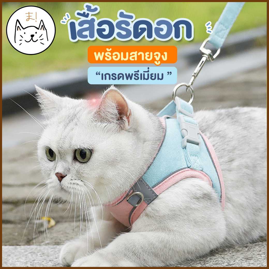KUMAま เสื้อรัดอกพร้อมสายจูงเข้าเซท เกรดพรีเมี่ยม