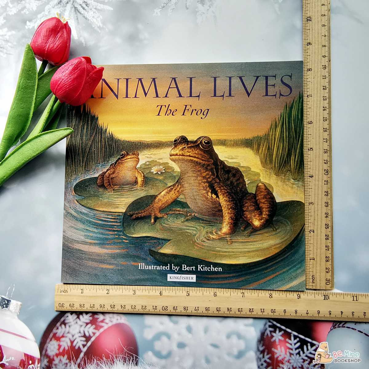 ❌sold❌หนังสือความรู้║The Frog (Animal Lives)║ ★มือสอง ★ปกอ่อน