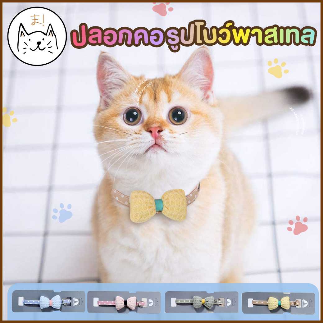 KUMA ま ปลอกคอแมว รูปโบว์ พาสเทล