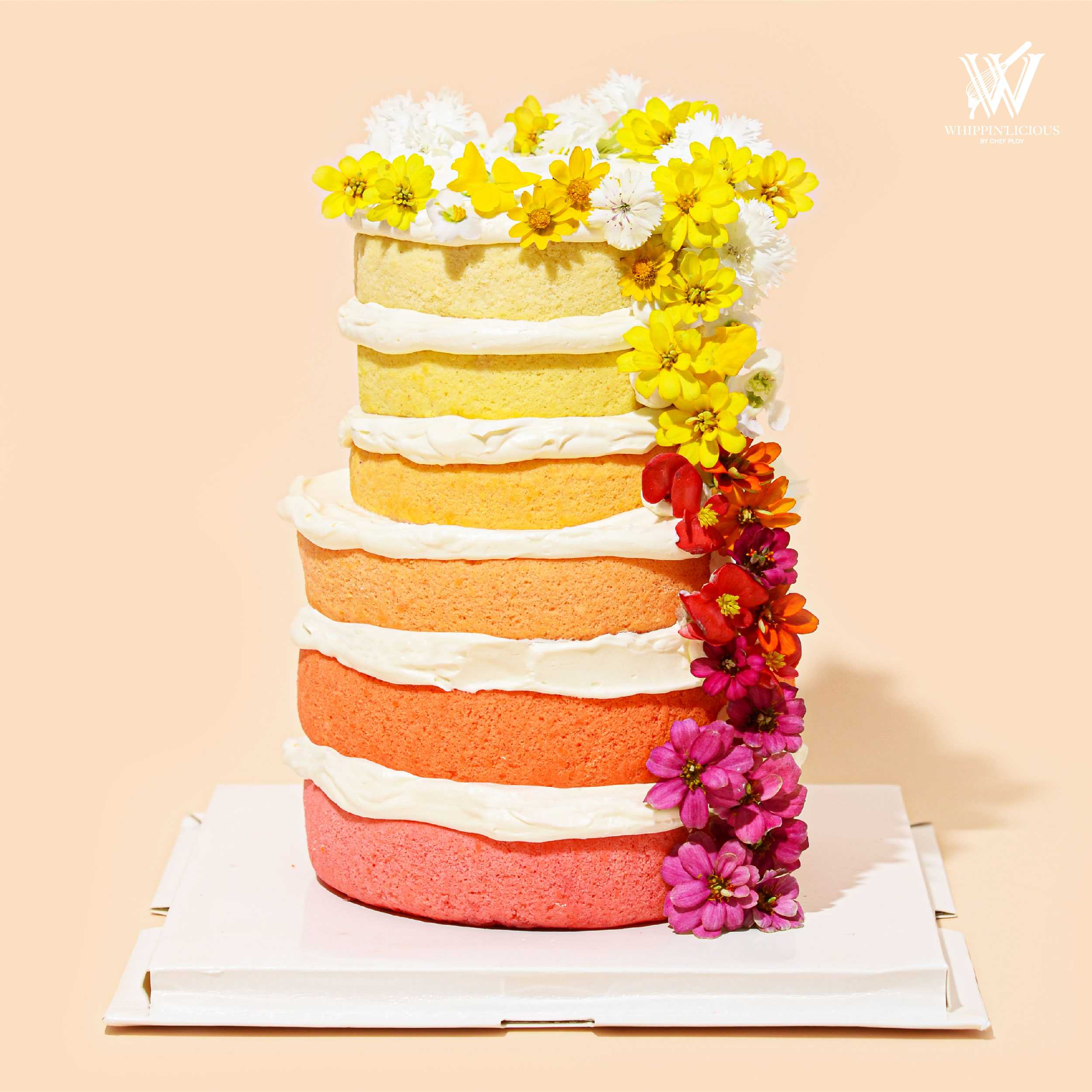 [PRE-ORDER} Pastel Palette Signature Vanilla Ombre Cake