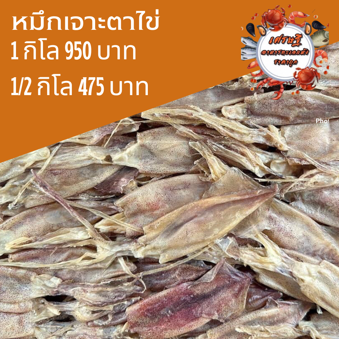 หมึกเจาะตาไข่