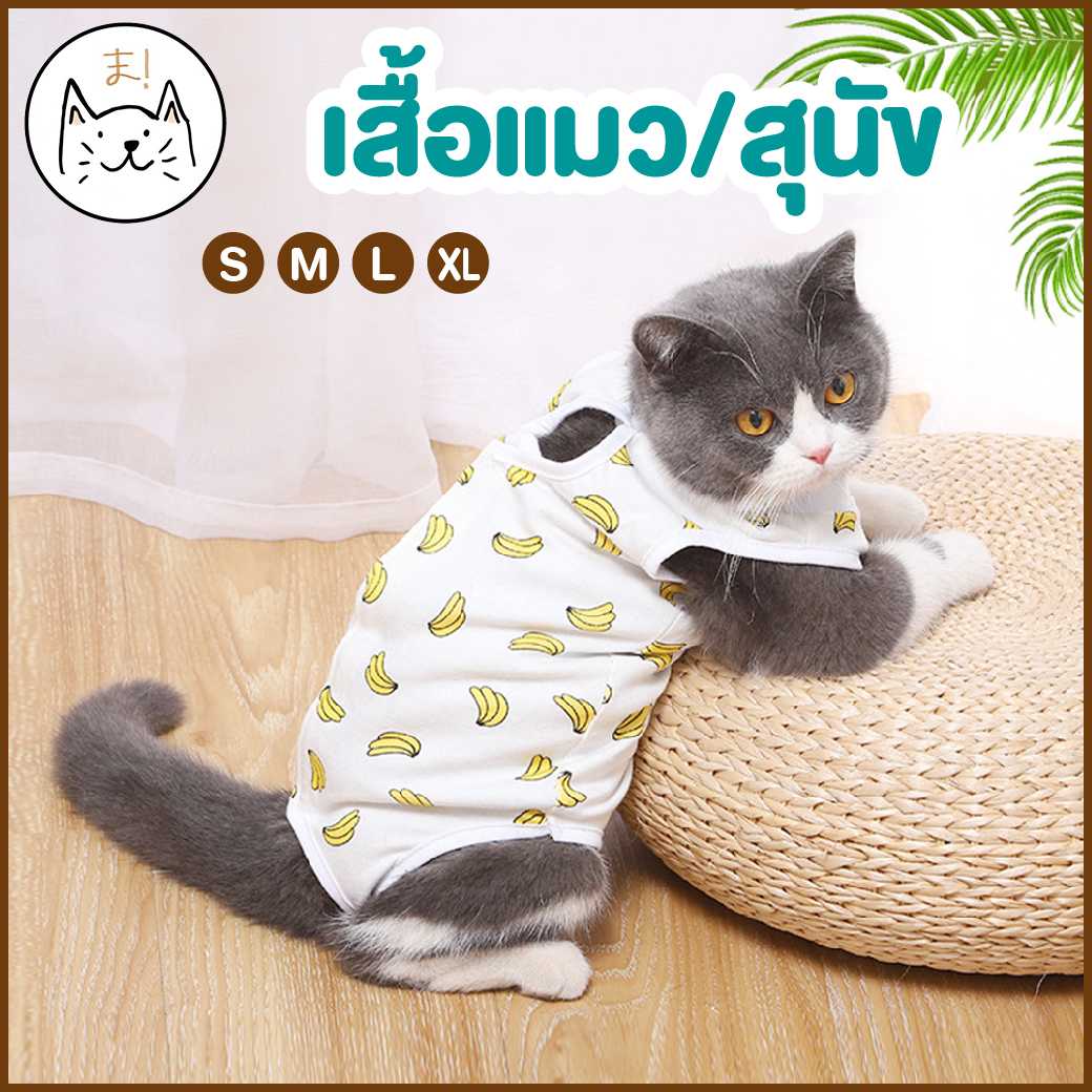 เสื้อกล้ามแมว เสื้อแมว เสื้อสุนัข เสื้อสัตว์เลี้ยง S/M/L/XL