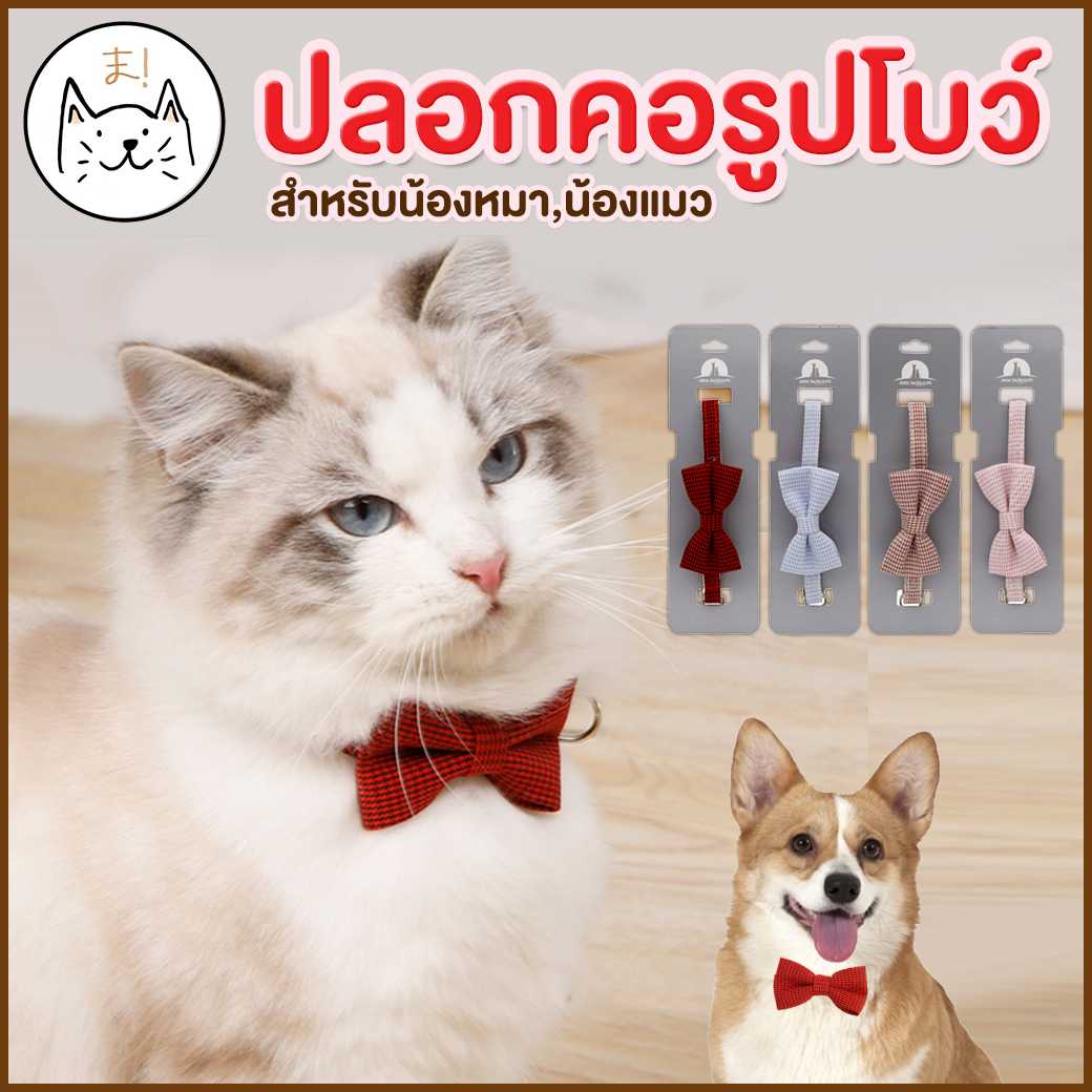 KUMA ま ปลอกคอแมว รูปโบว์ ปลอกคอสุนัข