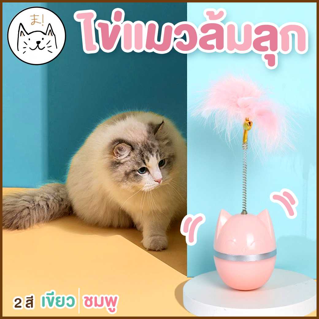 ไข่แมวล้มลุก สปริงขนนก