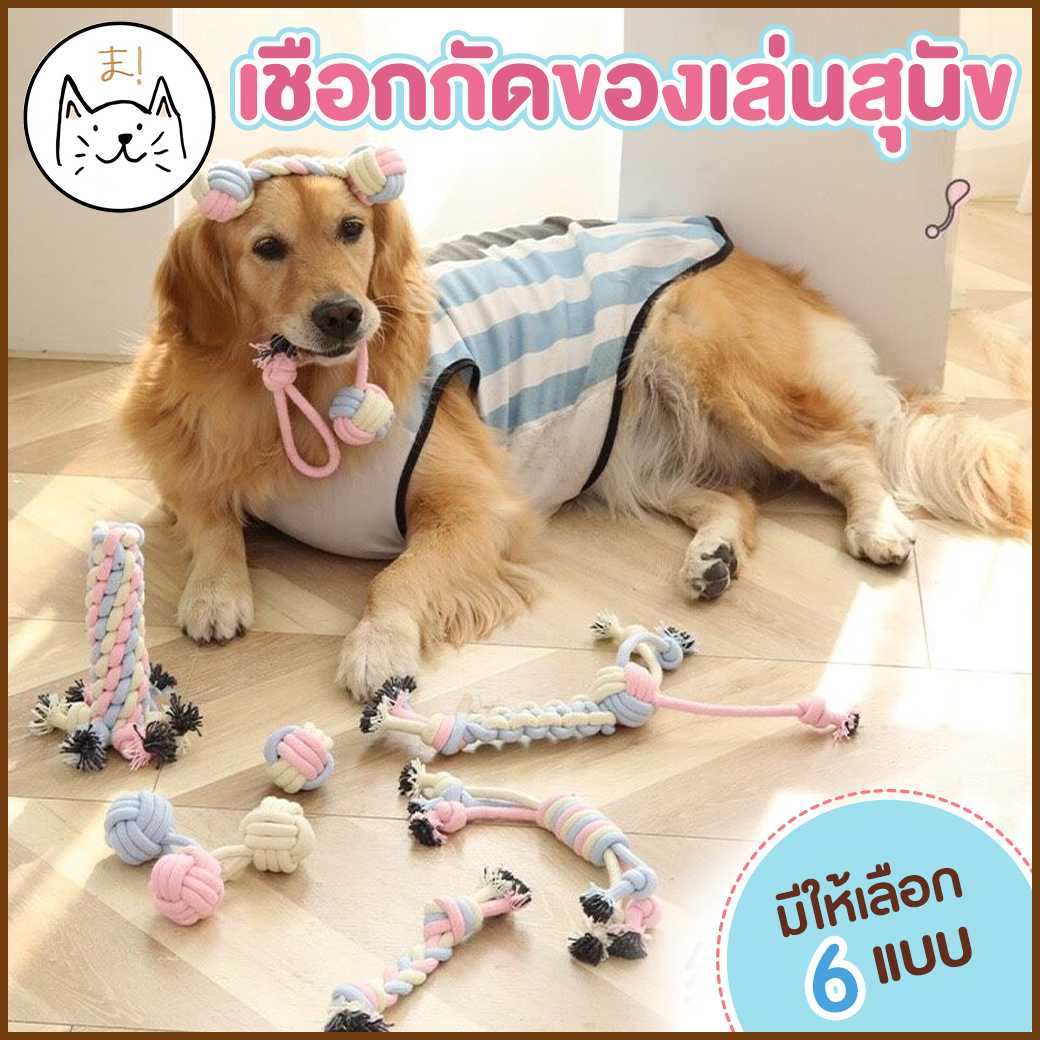 KUMAま ของเล่นสุนัข เชือกกัด สีพาสเทล