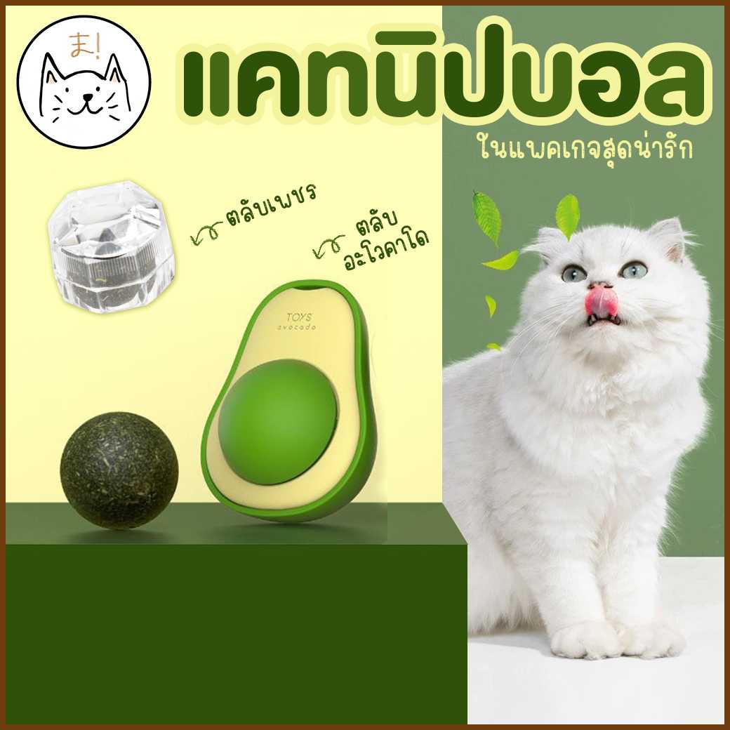 KUMAま แคทนิปบอล ตลับเพชร ตลับอะโวคาโด